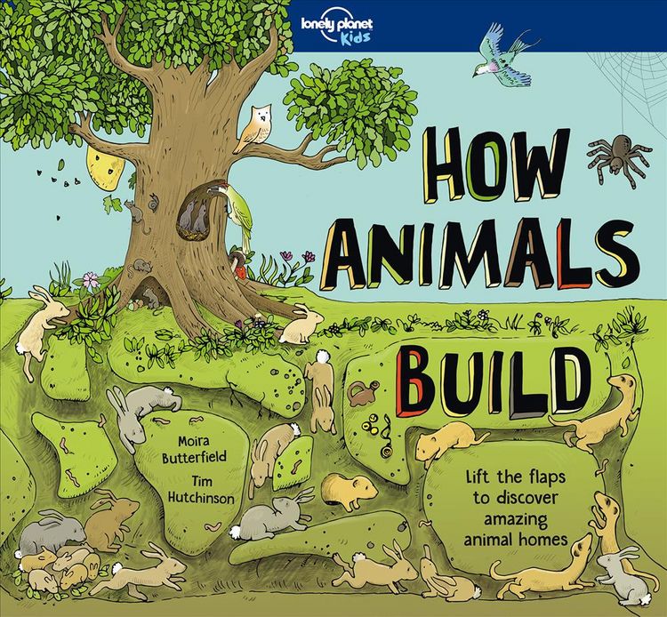 Produktbild: Lonely Planet Kids How Animals Build
