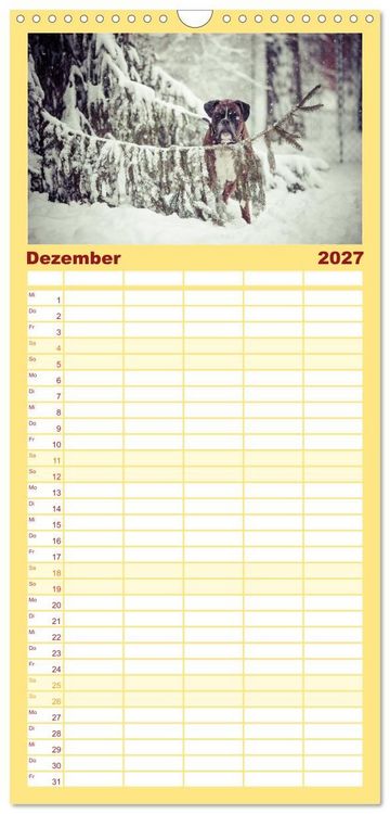 Produktbild: Familienplaner 2027 - Deutscher Boxer 2027 mit 5 Spalten (Wandkalender, 21 x 45 cm) CALVENDO