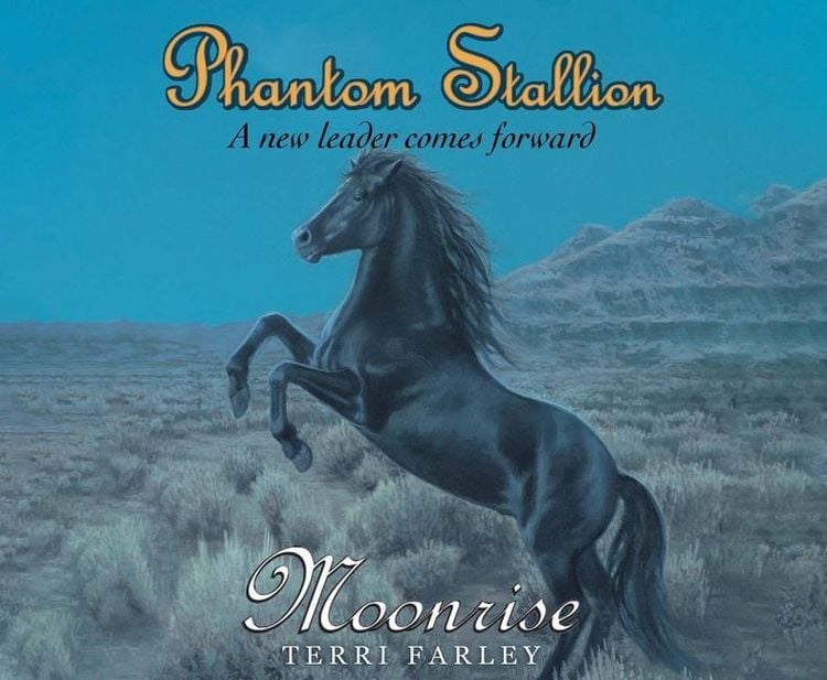Produktbild: Phantom Stallion, 14: Moonrise