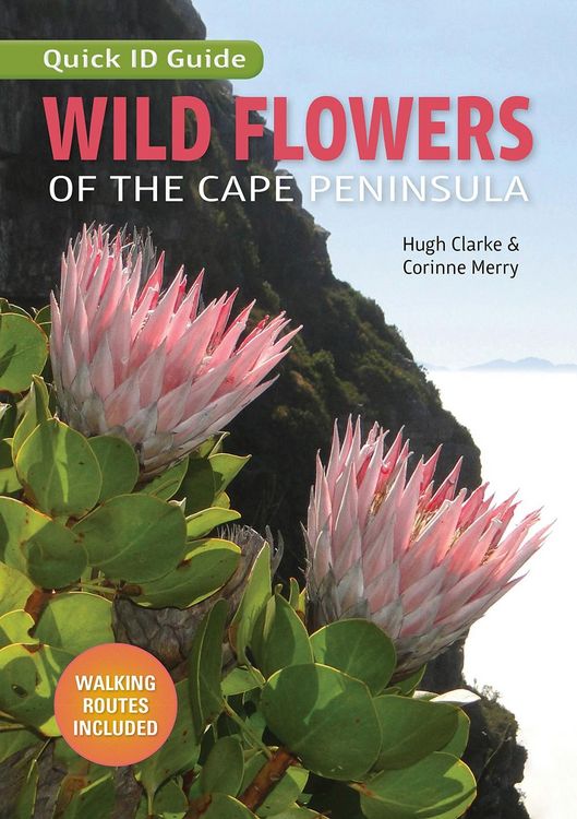 Produktbild: Wild Flowers of the Cape Peninsula - Quick ID Guide