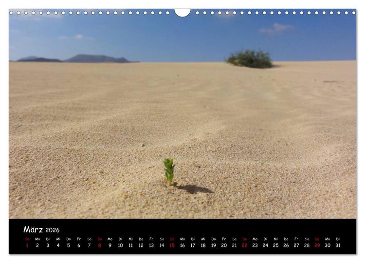 Produktbild: Fuerteventura - karge Sch&ouml;nheit (Wandkalender 2026 DIN A3 quer), CALVENDO Monatskalender
