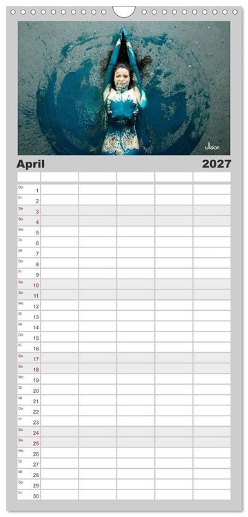Produktbild: Familienplaner 2027 - FARBSPIELE - Akt im Feuerwerk der Farben mit 5 Spalten (Wandkalender, 21 x 45 cm) CALVENDO