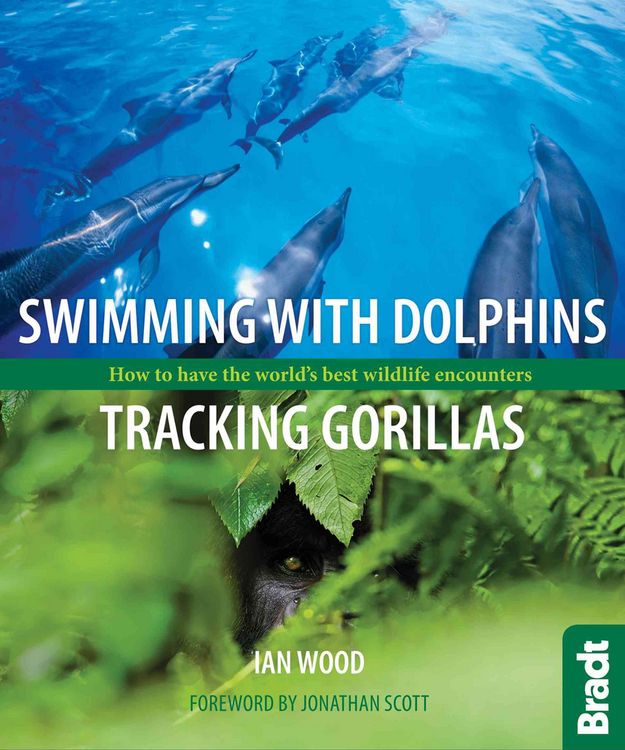 Produktbild: Swimming with Dolphins, Tracking Gorillas