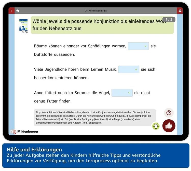 Produktbild: Das W&ouml;rterbuch f&uuml;r die Sekundarstufe &ndash; Arbeitsheft Grammatik