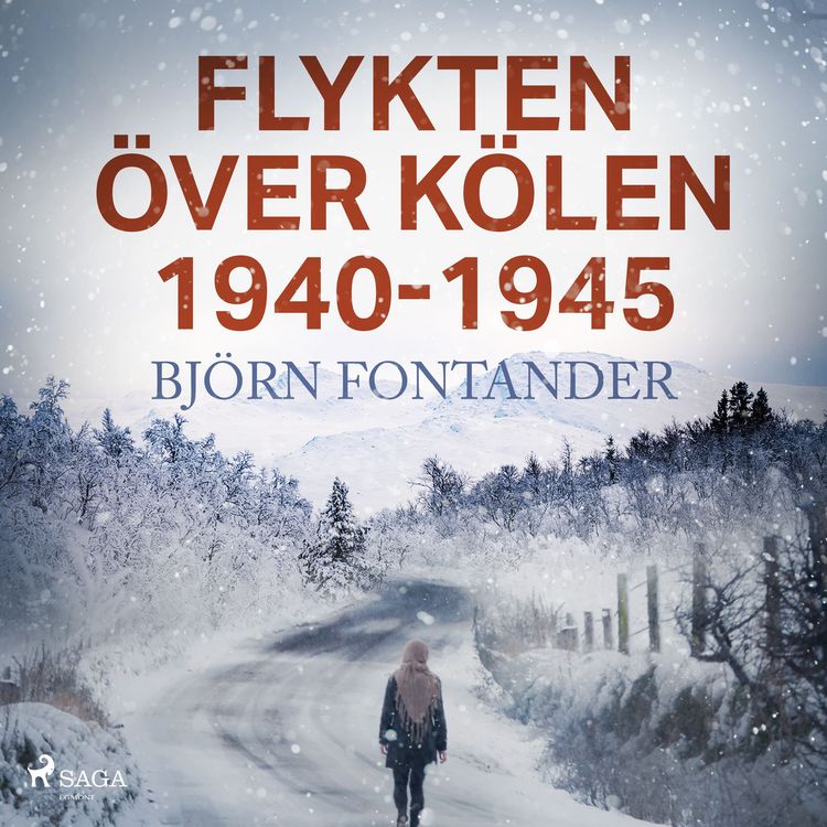 Produktbild: Flykten &ouml;ver K&ouml;len 1940-1945