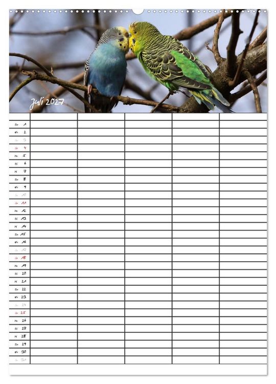 Produktbild: Wellensittiche (Wandkalender 2027 DIN A2 hoch), CALVENDO Monatskalender