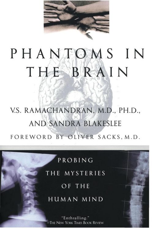 Produktbild: Phantoms in the Brain