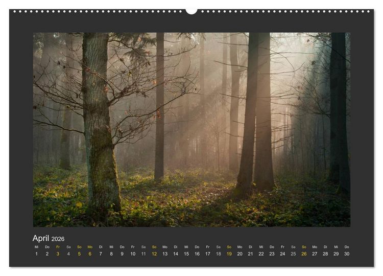 Produktbild: Poesie der Natur (hochwertiger Premium Wandkalender 2026 DIN A2 quer), Kunstdruck in Hochglanz