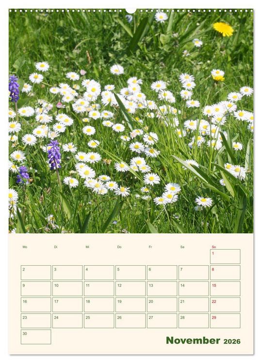 Produktbild: Vertr&auml;umte G&auml;nsebl&uuml;mchen (Wandkalender 2026 DIN A2 hoch), CALVENDO Monatskalender