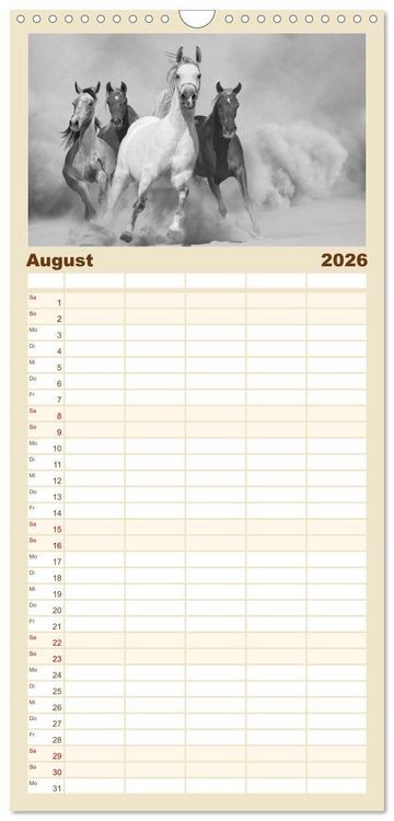 Produktbild: Familienplaner 2026 - Arabische Pferde mit 5 Spalten (Wandkalender, 21 x 45 cm) CALVENDO