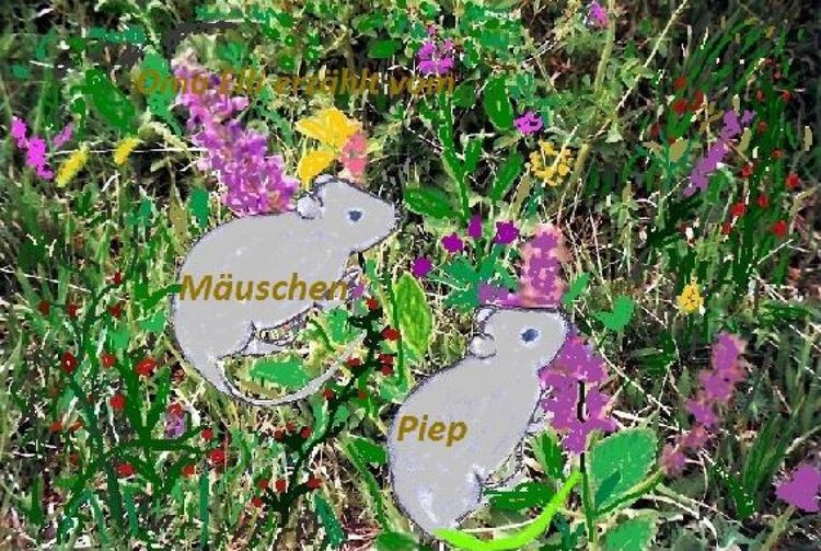 Produktbild: M&auml;uschen Piep