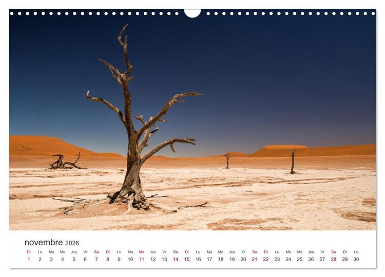 Produktbild: Des&eacute;rt namibien (Calendrier mural 2026 DIN A3 vertical), CALVENDO calendrier mensuel