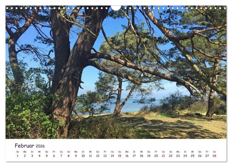 Produktbild: Natur und Landschaft Mecklenburg - Vorpommern 2026 (Wandkalender 2026 DIN A3 quer), CALVENDO Monatskalender