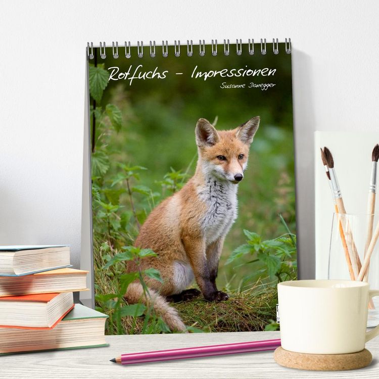 Produktbild: Rotfuchs - Impressionen (Tischkalender 2026 DIN A5 hoch), CALVENDO Monatskalender