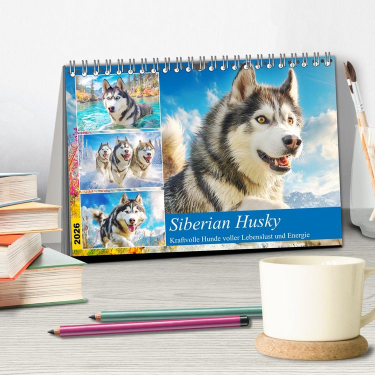 Produktbild: Siberian Husky. Kraftvolle Hunde voller Lebenslust und Energie (Tischkalender 2026 DIN A5 quer), CALVENDO Monatskalender