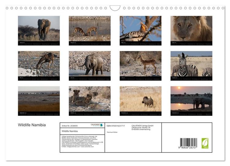 Produktbild: Wildlife Namibia (Wandkalender 2026 DIN A3 quer), CALVENDO Monatskalender