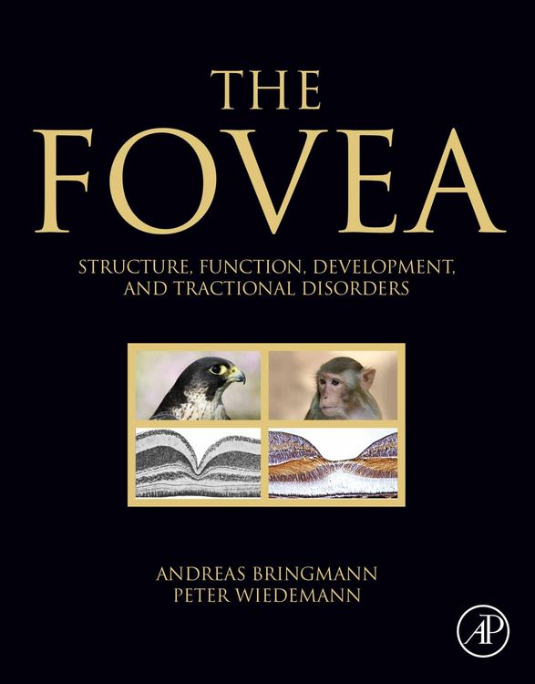 Produktbild: The Fovea