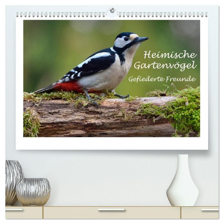 Produktbild: Heimische Gartenv&ouml;gel - Gefiederte Freunde (hochwertiger Premium Wandkalender 2026 DIN A2 quer), Kunstdruck in Hochglanz
