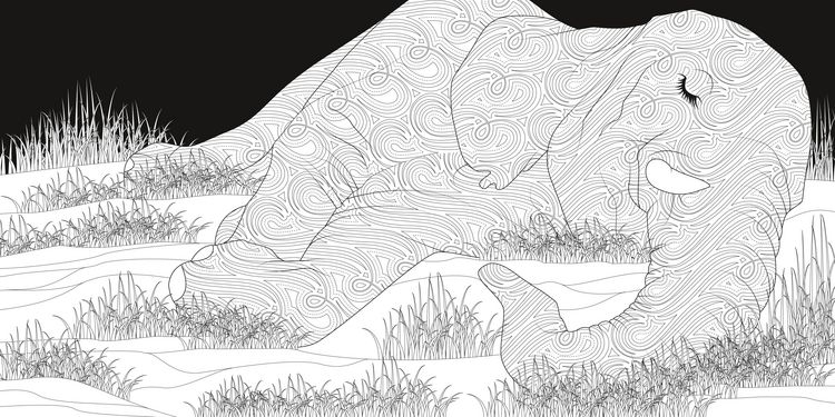 Produktbild: Night & Day