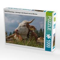 Produktbild: CALVENDO Puzzle Sehnsuchtsziel Berge - Unterwegs in den Bergwelt rund um M&uuml;nchen 1000 Teile Lege-Gr&ouml;&szlig;e 64 x 48 cm Foto-Puzzle Bild von Birgit Matejka