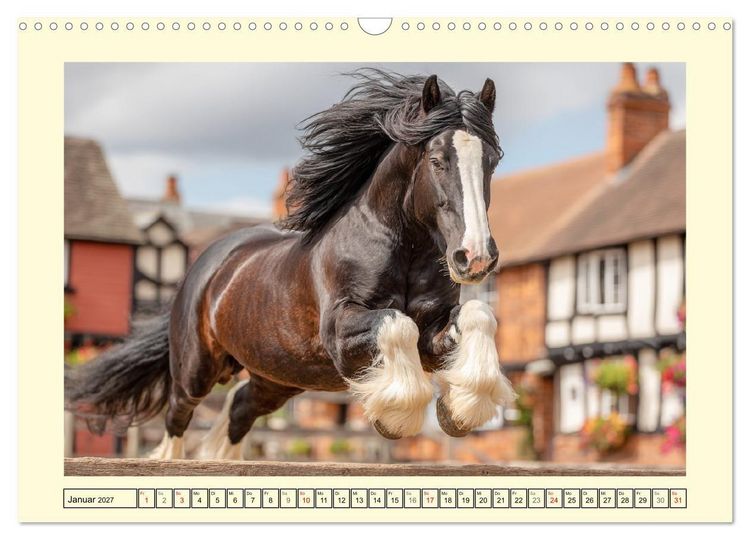 Produktbild: Shire Horse Zauber. Englands elegante Riesen (Wandkalender 2027 DIN A3 quer), CALVENDO Monatskalender