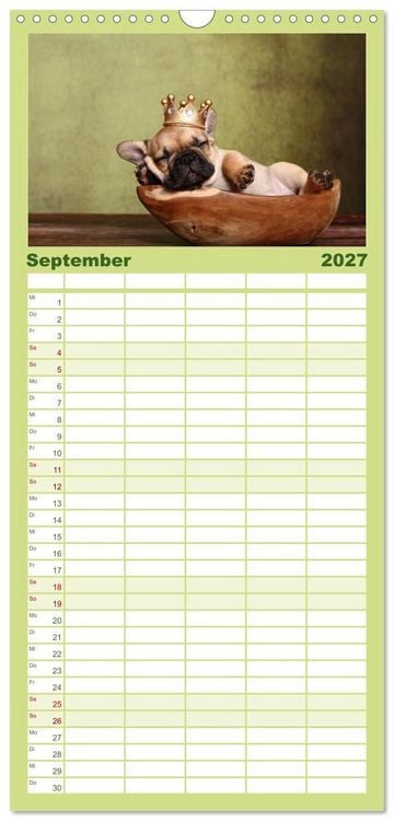 Produktbild: Familienplaner 2027 - Der Bully - Kalender Familienplaner hoch mit 5 Spalten (Wandkalender, 21 x 45 cm) CALVENDO