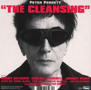 Produktbild: The Cleansing