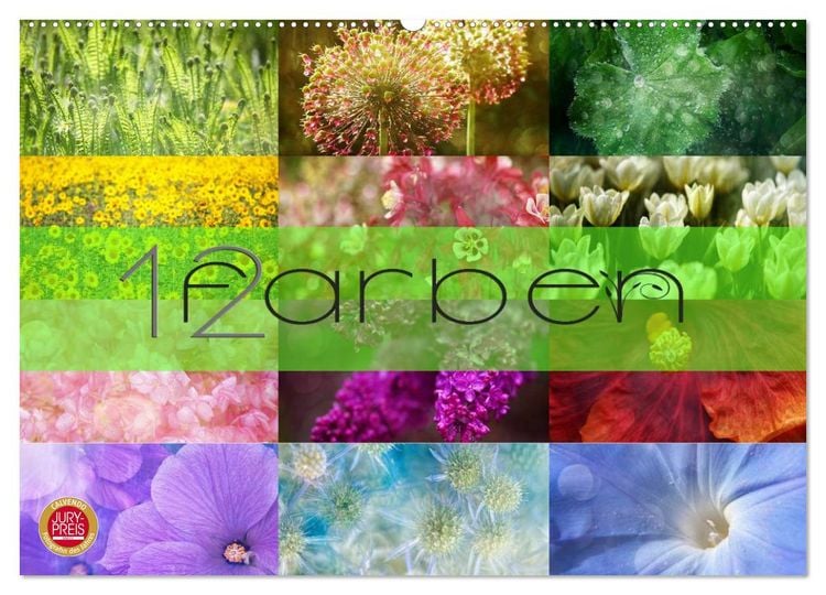 Produktbild: 12 Farben (Wandkalender 2026 DIN A2 quer), CALVENDO Monatskalender