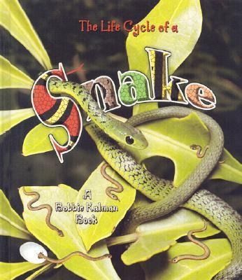 Produktbild: Snake