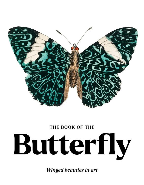 Produktbild: The Book of the Butterfly
