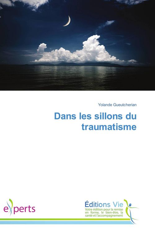 Produktbild: Dans les sillons du traumatisme
