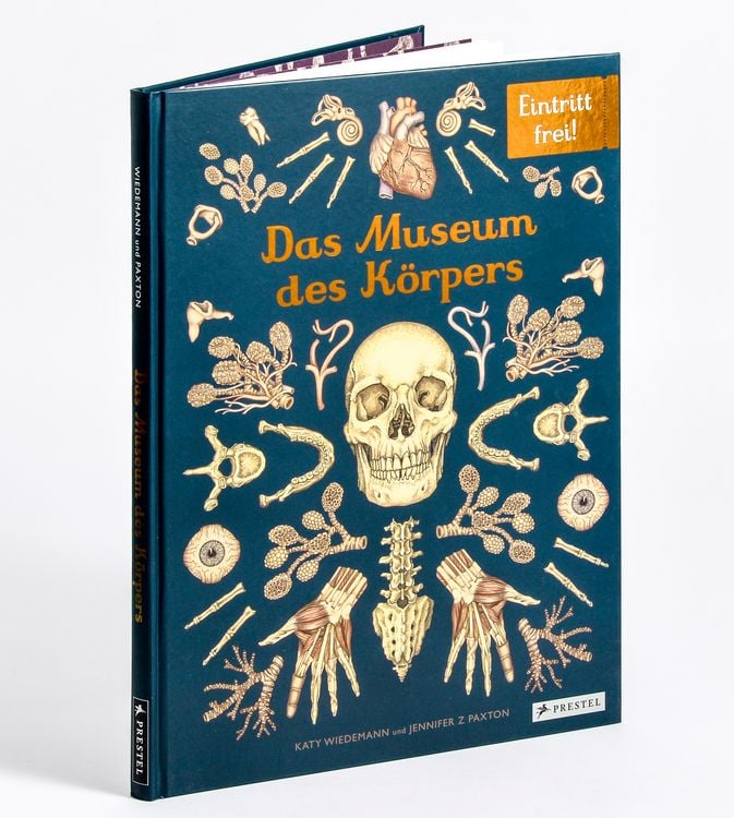 Produktbild: Das Museum des K&ouml;rpers