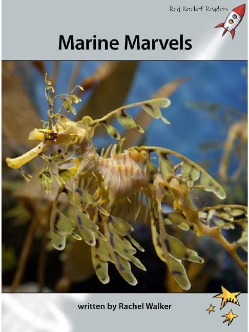Produktbild: Marine Marvels