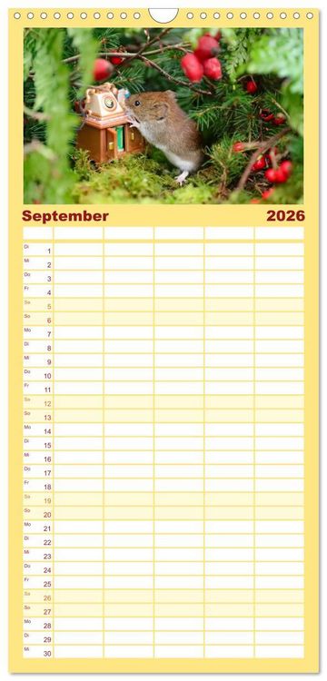Produktbild: Familienplaner 2026 - Die R&ouml;telmaus - neugierig und verfressen mit 5 Spalten (Wandkalender, 21 x 45 cm) CALVENDO
