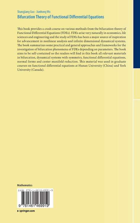Produktbild: Bifurcation Theory of Functional Differential Equations