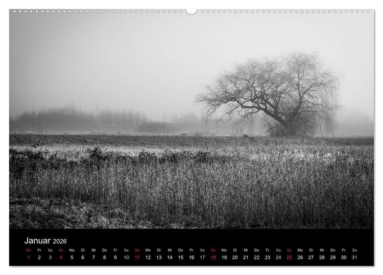 Produktbild: Monochrom 2026 (Wandkalender 2026 DIN A2 quer), CALVENDO Monatskalender