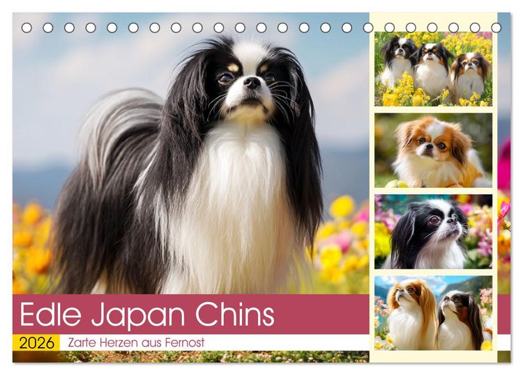 Produktbild: Edle Japan Chins. Zarte Herzen aus Fernost (Tischkalender 2026 DIN A5 quer), CALVENDO Monatskalender