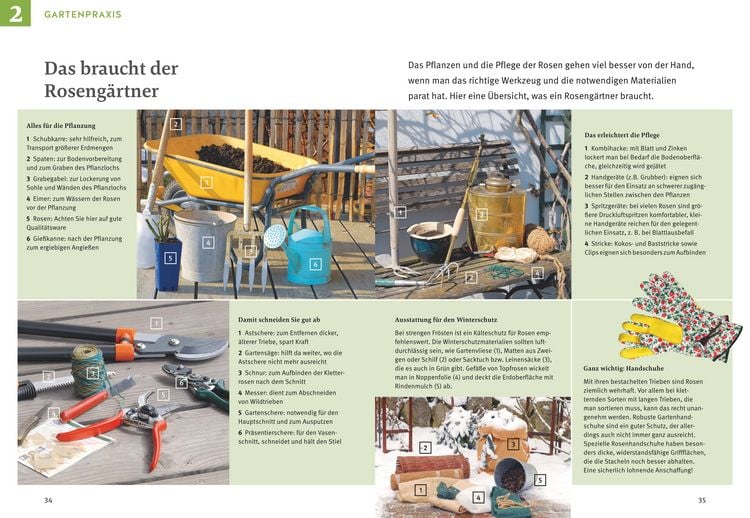 Produktbild: Rosen pflegen