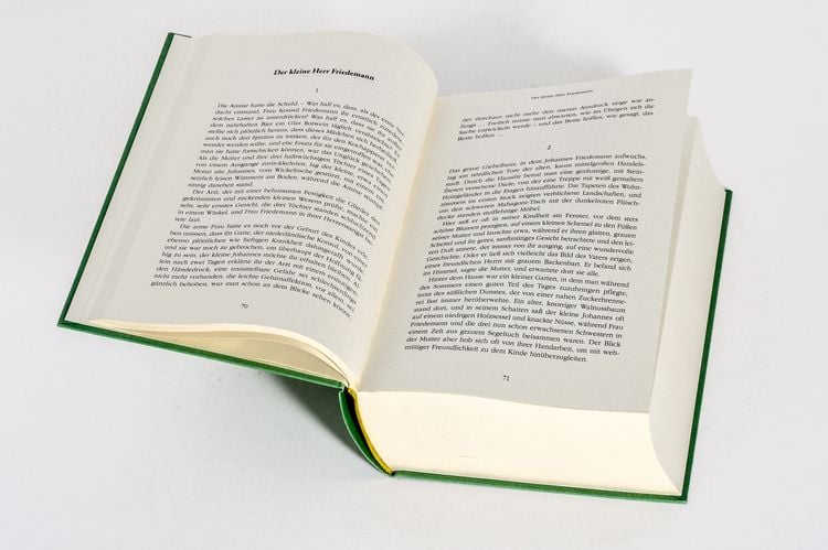 Produktbild: Thomas Mann, Gesammelte Werke: Die Erz&auml;hlungen