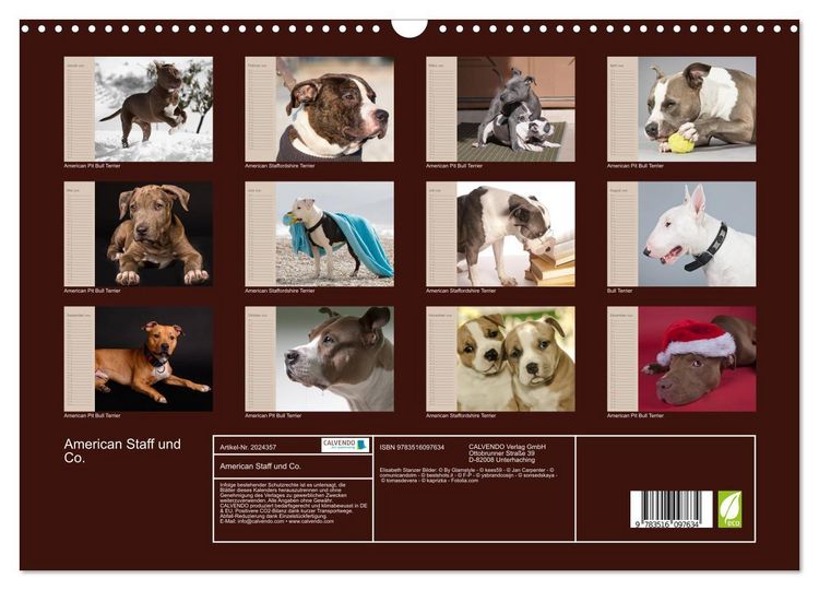 Produktbild: American Staff und Co. (Wandkalender 2026 DIN A3 quer), CALVENDO Monatskalender