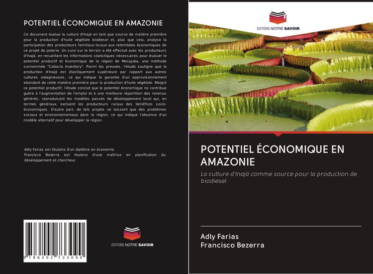 Produktbild: POTENTIEL &Eacute;CONOMIQUE EN AMAZONIE