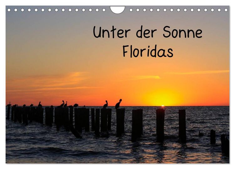 Produktbild: Unter der Sonne Floridas (Wandkalender 2026 DIN A4 quer), CALVENDO Monatskalender