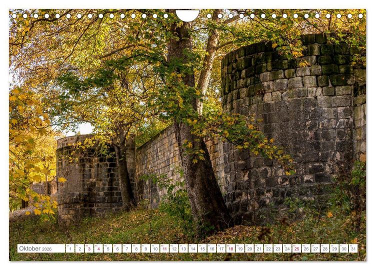 Produktbild: Halberstadt 2026 (Wandkalender 2026 DIN A4 quer), CALVENDO Monatskalender