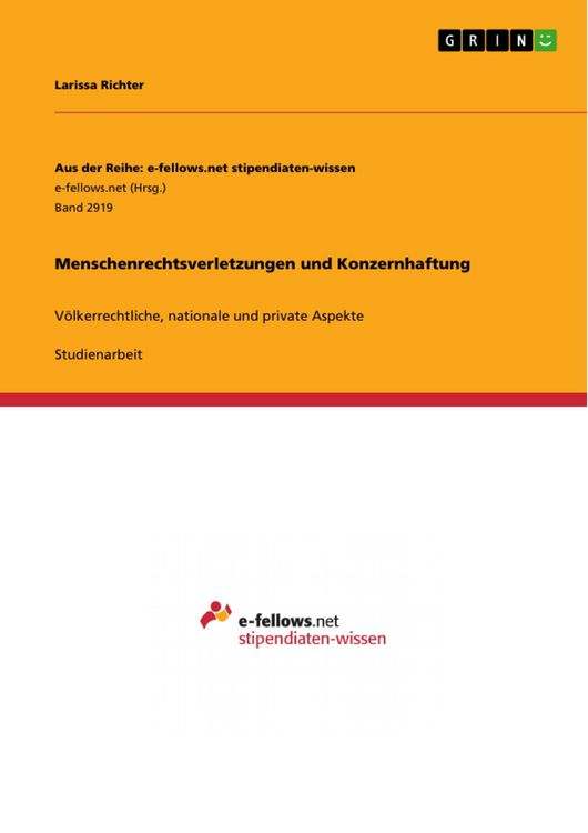 Produktbild: Menschenrechtsverletzungen und Konzernhaftung