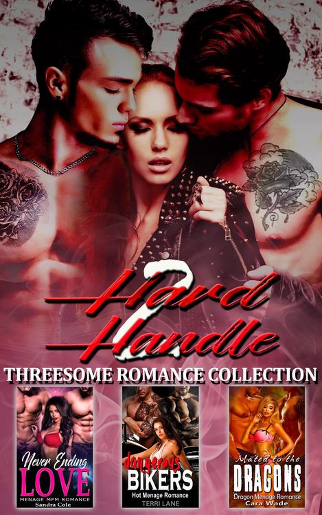 Produktbild: 2 Hard 2 Handle : Threesome Romance Collection