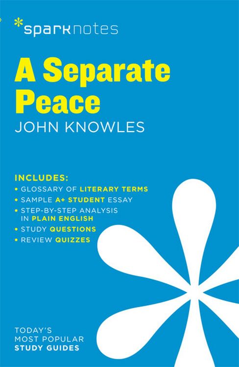 Produktbild: A Separate Peace SparkNotes Literature Guide