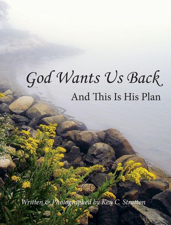 Produktbild: God Wants Us Back - And This Is His Plan