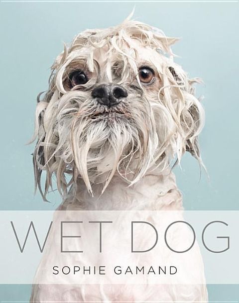 Produktbild: Wet Dog