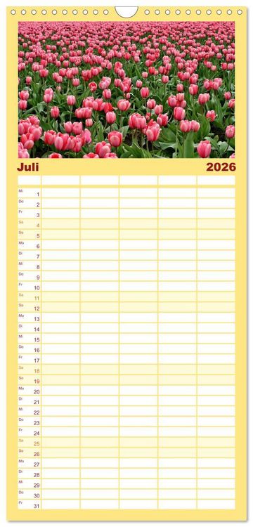 Produktbild: Familienplaner 2026 - Tulpentraum mit 5 Spalten (Wandkalender, 21 x 45 cm) CALVENDO