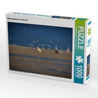Produktbild: CALVENDO Puzzle Afghanen jagen M&ouml;wen am Strand von Sankt Peter-Ording | 1000 Teile Lege-Gr&ouml;&szlig;e 64x48cm Foto-Puzzle f&uuml;r gl&uuml;ckliche Stunden